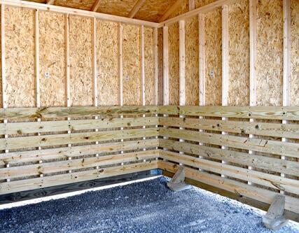 Animal Shelter Interior